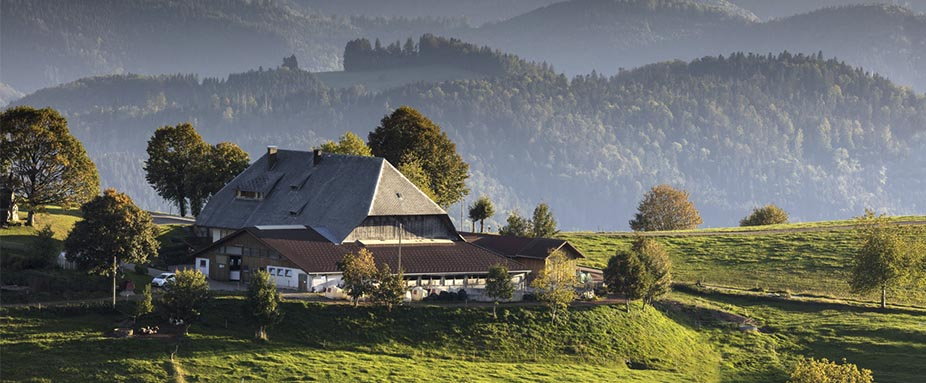 1905-regionen-deutschland-schwarzwald-926x383