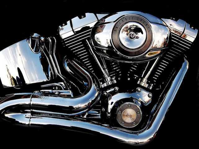 harley-diverse-32
