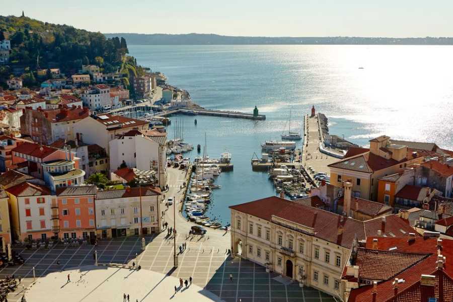 piran-tartinijev-trg